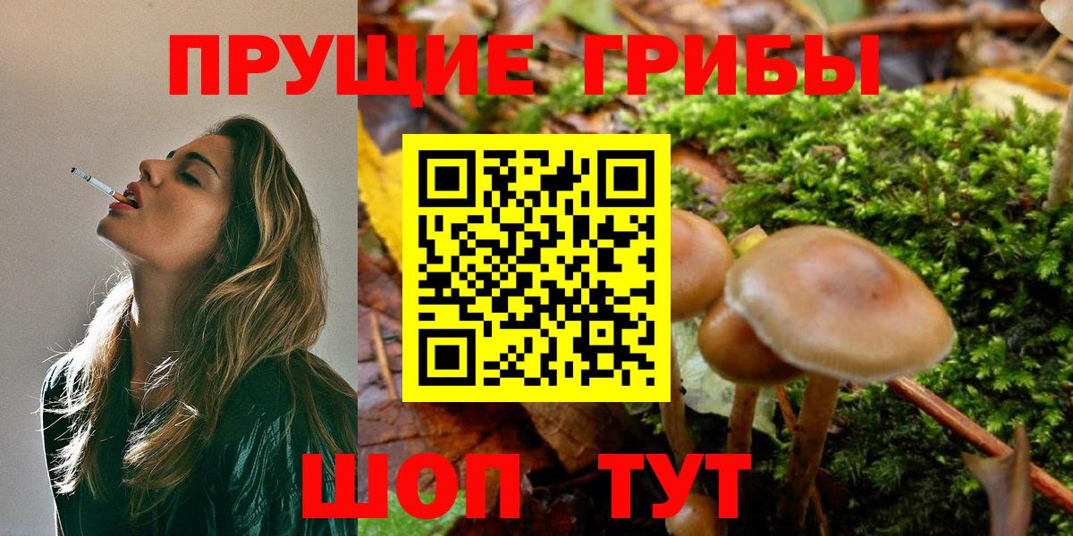Гатчина  наркотики  Псилоцибиновые грибы ЛСД  Вход с VPN  Галлюциногенные грибы GOLDEN TEACHER 